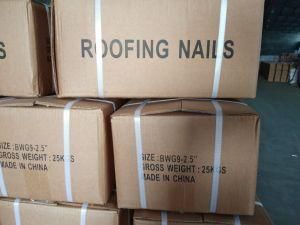 Brightly Galvanized Roofing Nail Bwg9*2.5inch 25kg/Carton
