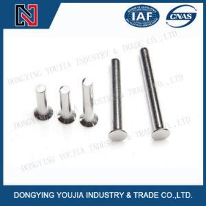 GB869 Stainless Steel Countersunk Head Rivets