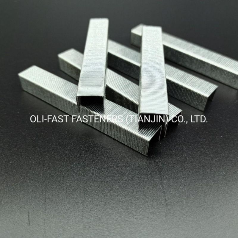 22 Gauge 10f/06 Galvanzied Staples China Stapler Pins Factory