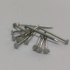 Galvanized Shoes Tacks/ Heel Spike / Shoes Steel Nail