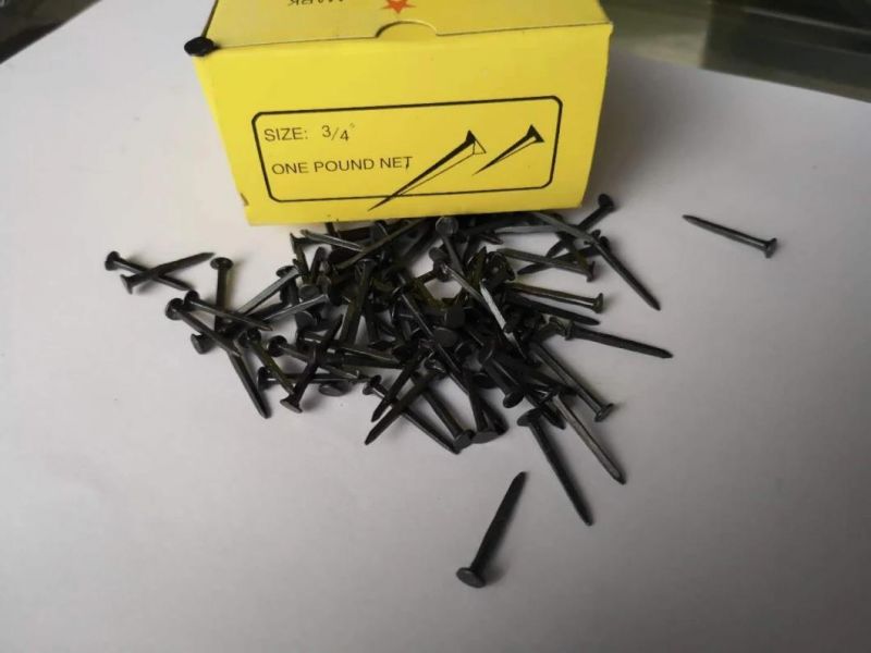 Hot Sale Popular 5/8" 3/4" 1/2" 1" Shoe Tack Nails with Good Quality