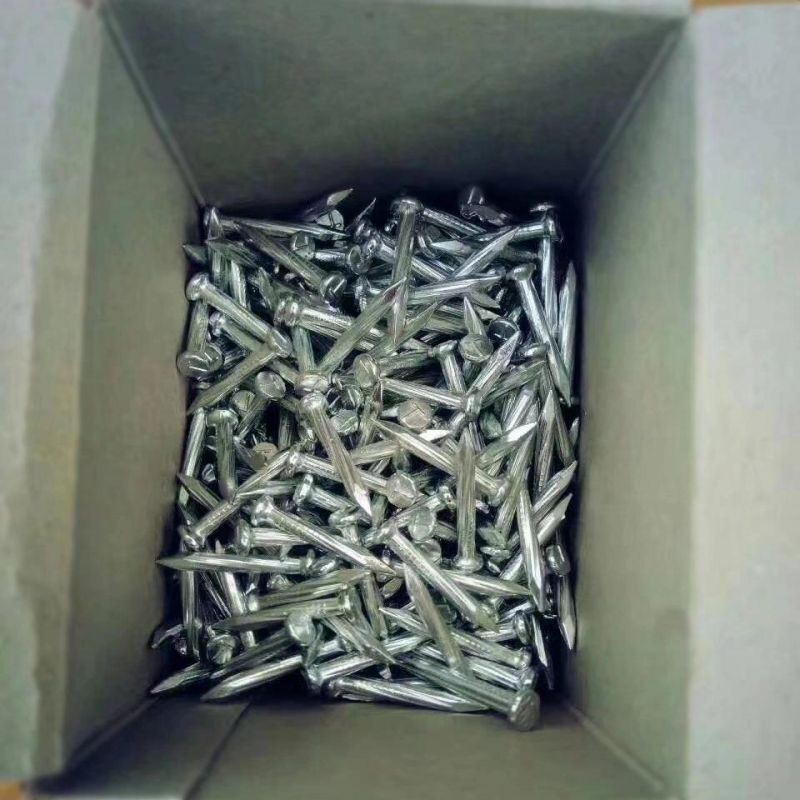 Large Head Galvanized Umbrella Roofing Nails/Concrete Nails/Common Nail Made in China