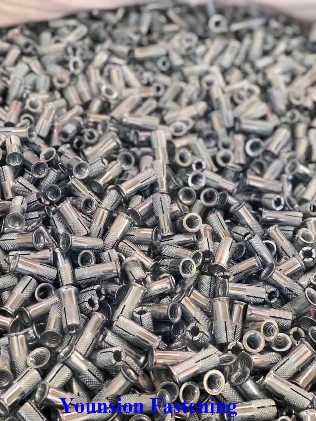 Bsw ANSI DIN Single or Double Knurling Drop-in Anchor in OEM ODM with Shining Zinc Plating
