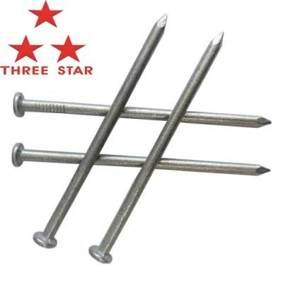 Wholesale Customized Black Zinc Coated Concrete Steel Nail Wire Nails Steel