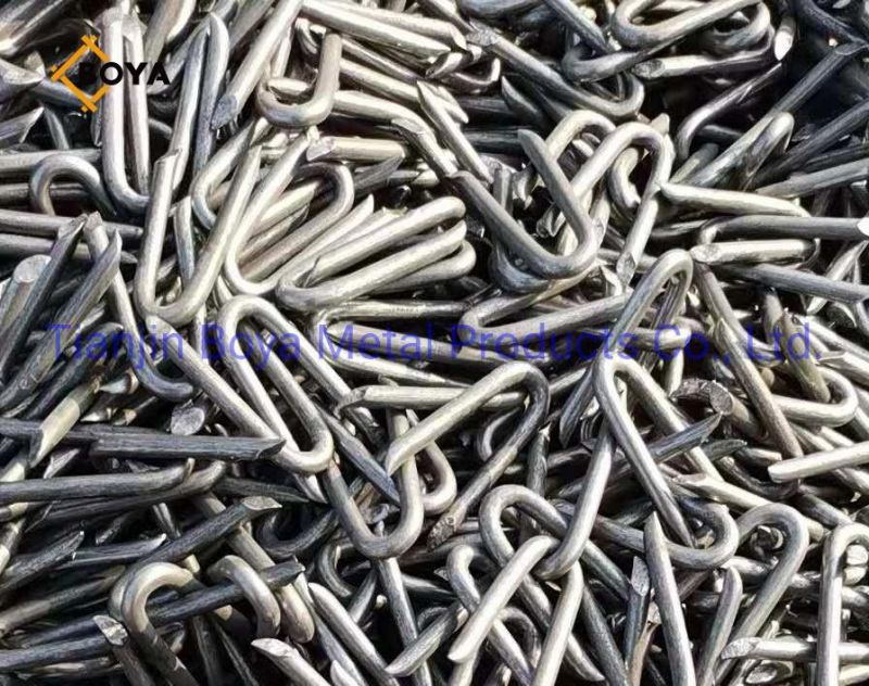 U Type Nail with Galvanized and Polished