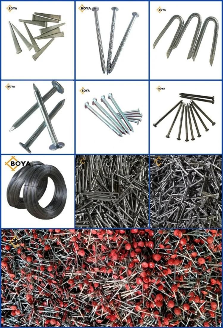 Tianjin Factory 1"-6" Galvanized Common Nail