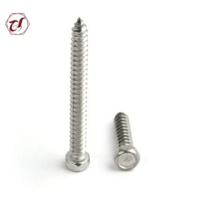 Hex Head Self Tapping 304 Stainless Steel Screw
