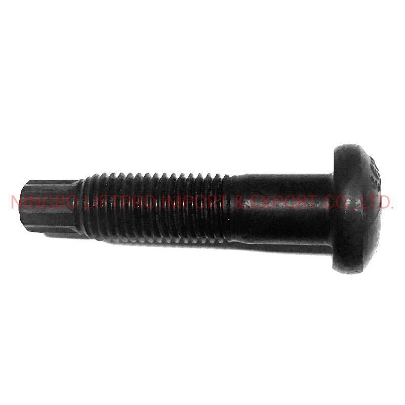 High Quality 10.9/12.9 Grade Fastener for Truck Tyre Bolt with Nut Wheel Hub Bolt