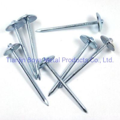 Factory Price Galvanized Umbrealla Head Roofing Nails Good Quality