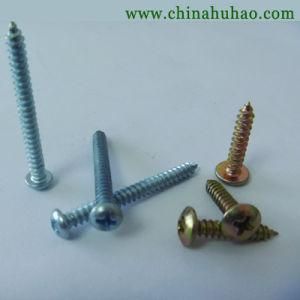 Screw/Professional Pruduction DIN Standard Pan Head Self Tapping Screw