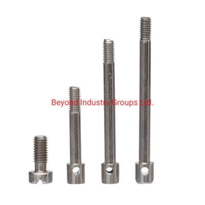 Seal Screw for Meters