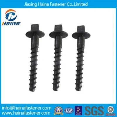 Grade 10.9 Customized Design Railway Screw Spike for Railroad
