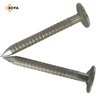 Ring Shank Steel Wire Common Nails with Factory Price
