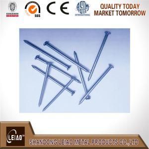 Wood Nail/Common Nail/Iron Nail