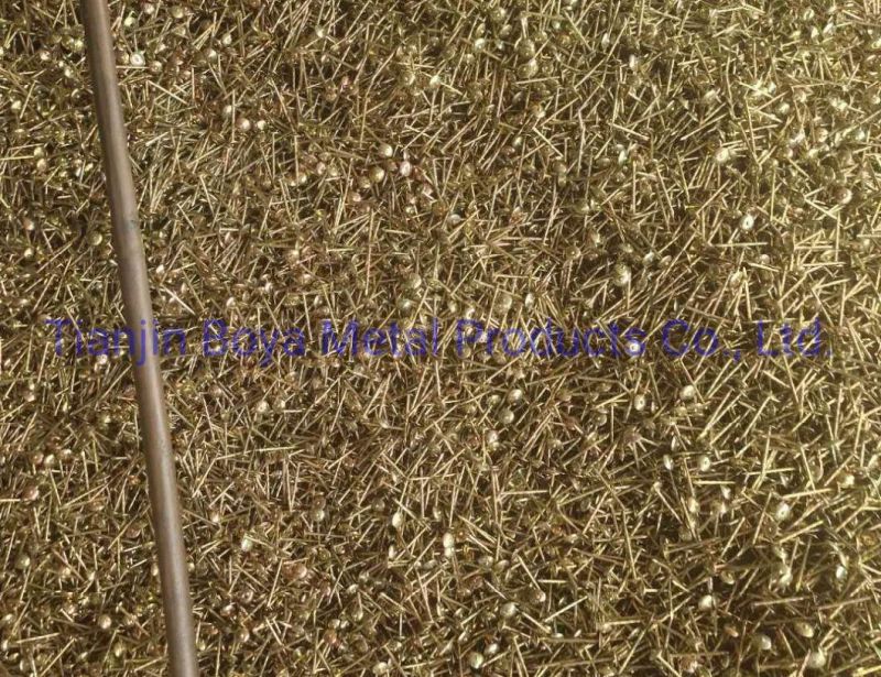 Q195 Steel Galvanized Roofing Nails for Colored Steel Sheet Roof