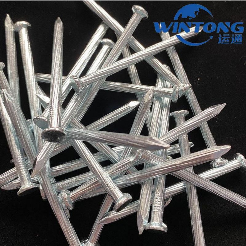 Fastener Concrete Nails Production, Surface Smooth Round Concrete Nails