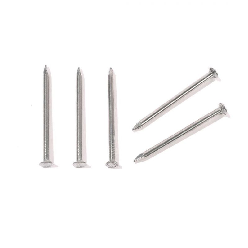 Lower Factory Price Polished Common Round Iron Wire Round Head Nails