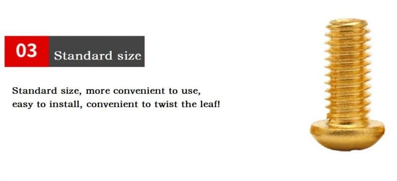 DIN7985 M8X25 Screw Pan Head Screw Brass Machine Screw