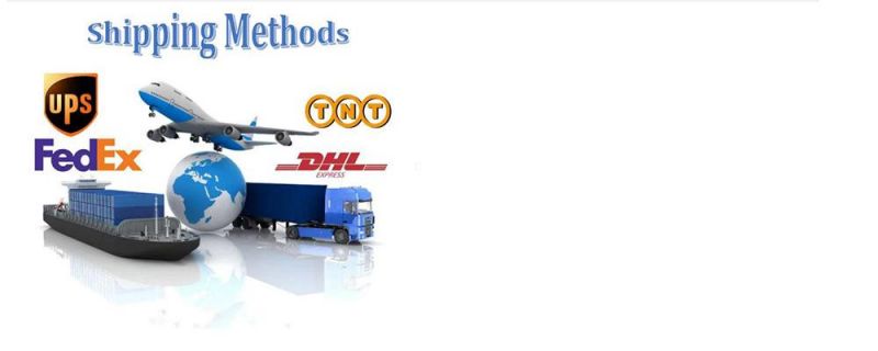 Non-Standard Automotive Connector Copper Terminal Plug Pin