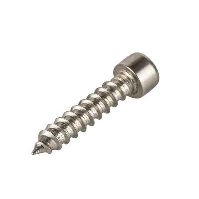 Self Tapping Screw/Hexagon Socket Cap Screw