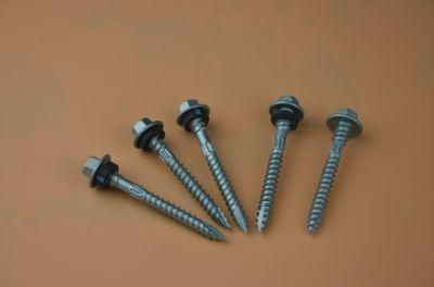 Manufacturer Customized Production of Self-Tapping Screw, Drill Screw, Machine Screw, Core Plate Screw, etc. Support OEM ODM