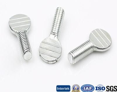 Stainless Steel M4-M20 Thumb Screw