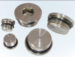 Stainless Steel Screw