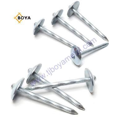 Hot Sale Twisted Shank Umbrella Head Roofing Nails Low Price