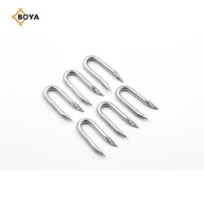 Barbed U Shape Iron Wire Nail Common Diamond Sharp U Type Nail for Africa