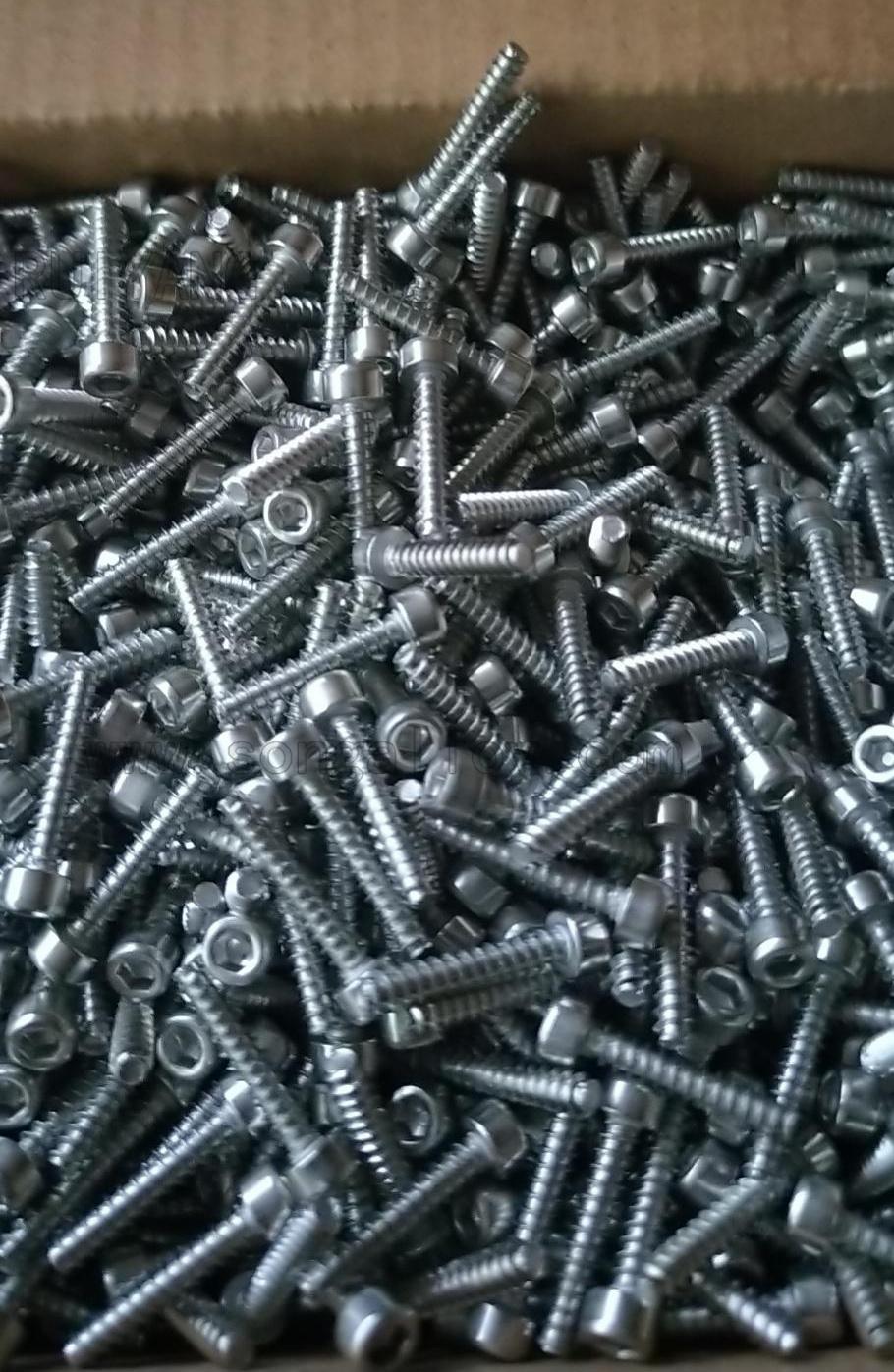 Stainless Steel Hexagon Socket Self Tapping Screw