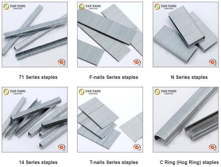 Furniture Hardware Best Quality Hr-22 Galvanized Hog Ring Mattress Staples