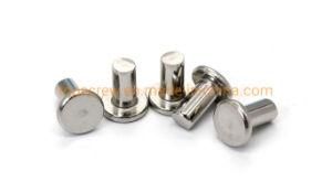 Stainless Steel Solid Rivet, Flush Head Rivet