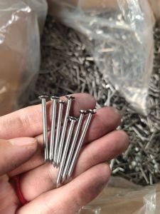 Common Iron Wire Nail Manufacturer