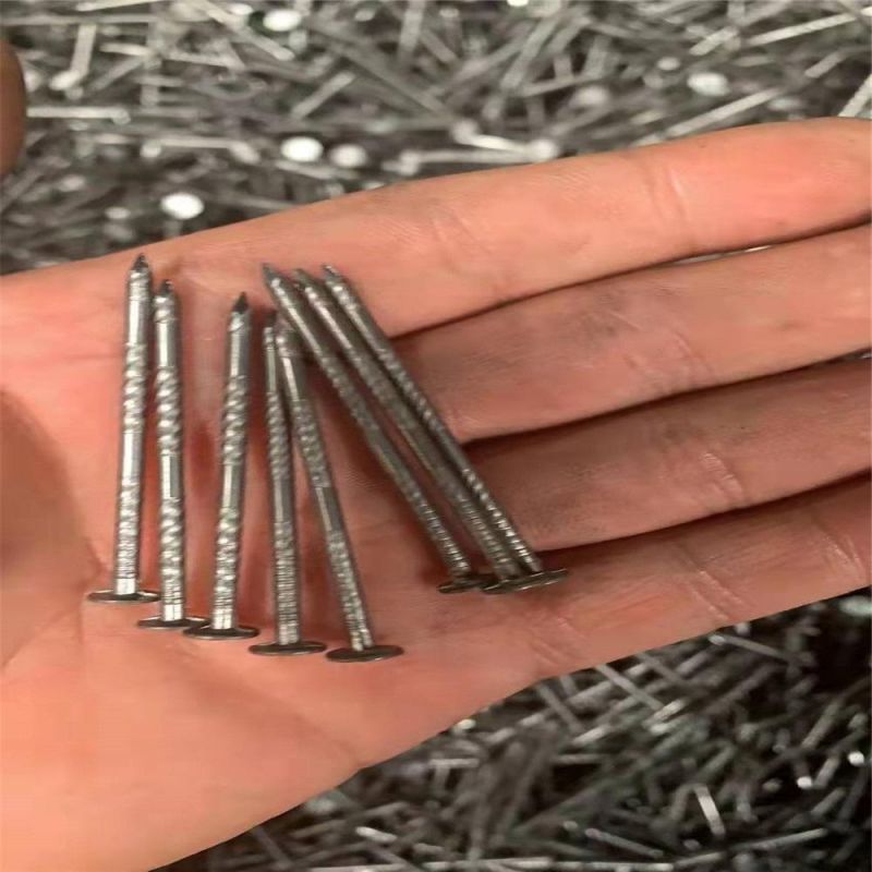 Customizable Polished Linoleum Nail with Large Cap Nails