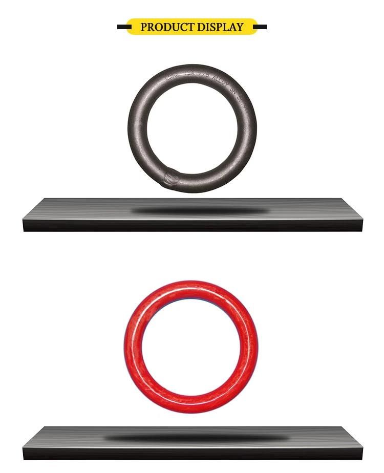 Quick Connecting European/Us Standard G80/G100 Alloy Steel/Stainless Steel Forged/Welded/Weldless Round/O/Circular Ring with Surface Treatment
