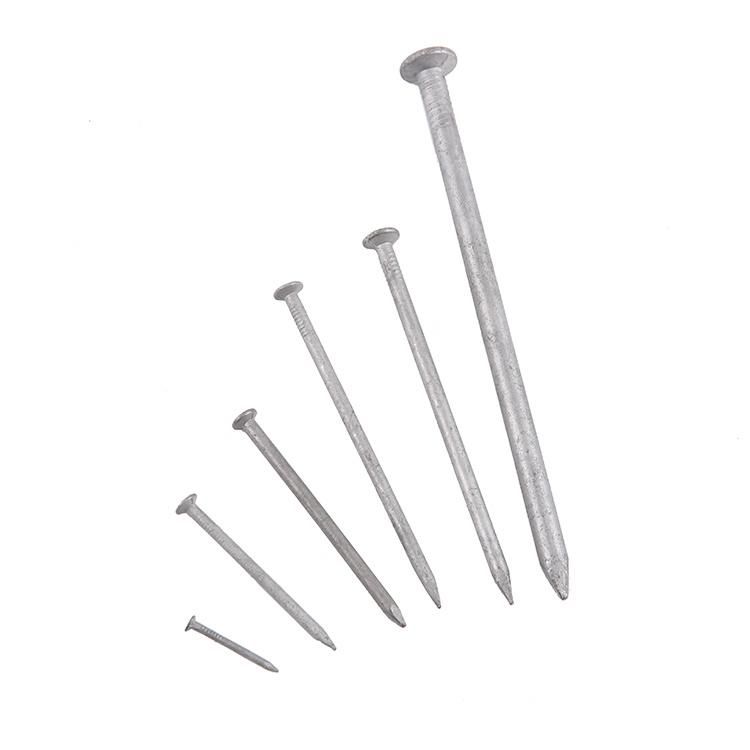 China Supply Common Iron Nails Cheap Price Polished Common Wire Nails