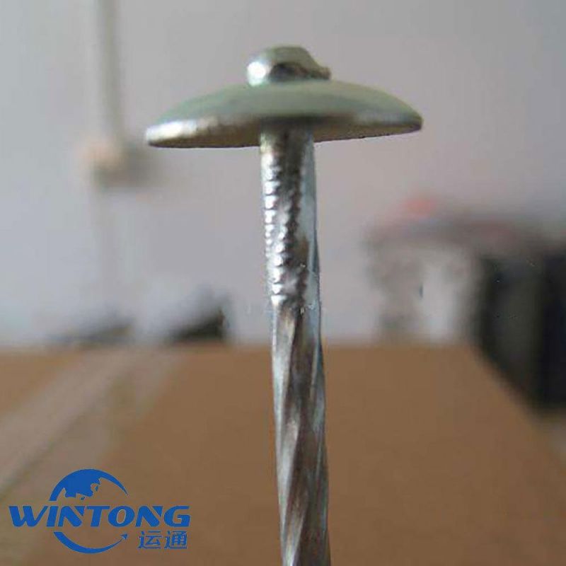 High Quality Galvanized Roofing Nails, Twisted Shank Umbrella Head Roofing Nails