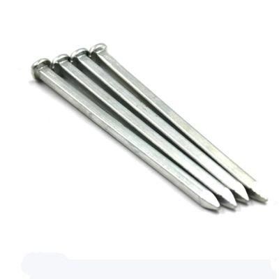 Myanmar Thailand Laos Vietnam Philippines Singapore Market/Galvanized Steel Square Boat Nails for Ship