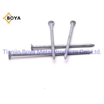 Factory Price Hardware Nail/Iron Nail/Steel Nail/Hot Dipped Galvanized Nail