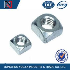 SUS Square Nut with Standards of DIN ISO JIS GB ANSI