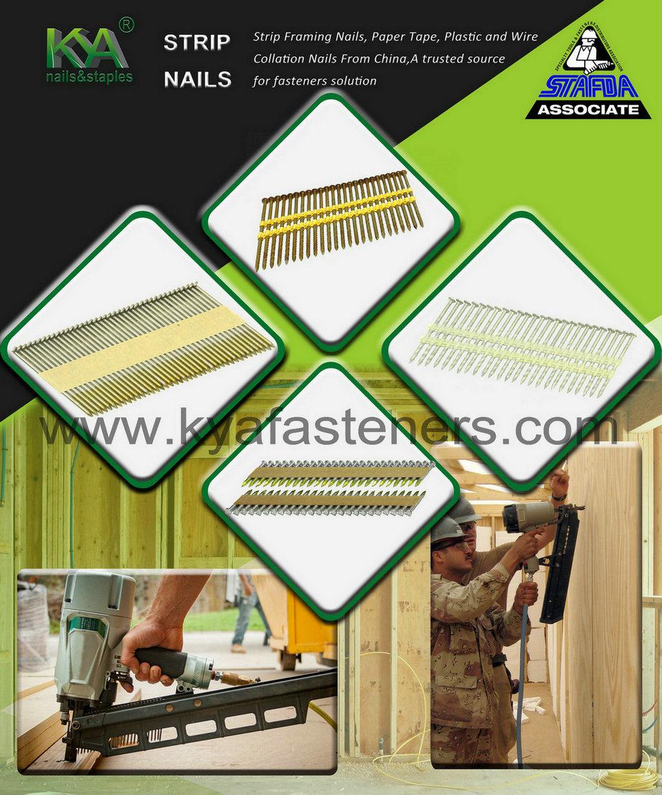3.5X50mm Collated Screw for Wood