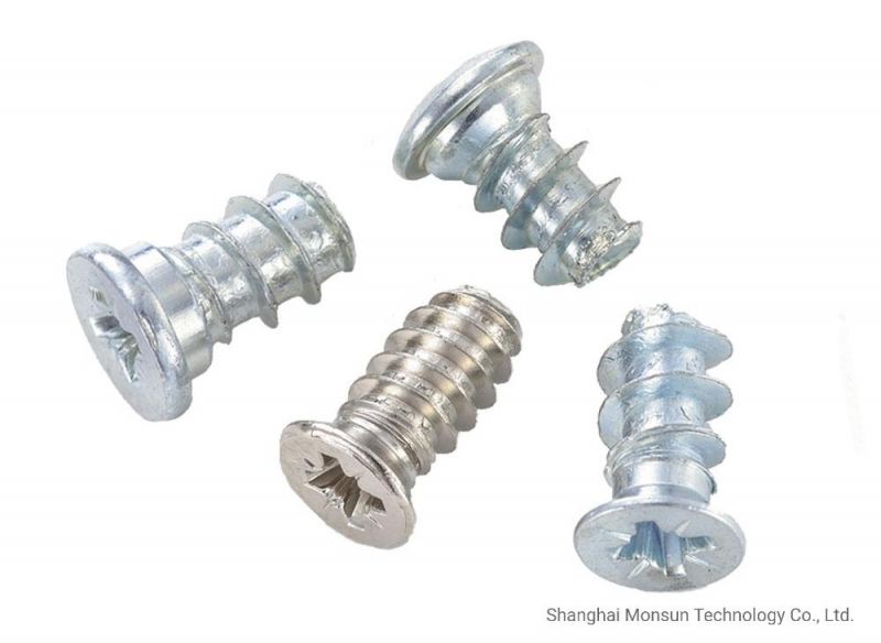 Csk Head Pozidriv Zinc Plated Blum Screw for Nylon Expansion Dowels