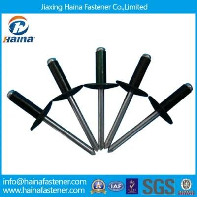 Japan System JIS Metal Stoving Varnish Large Head Blind Rivet