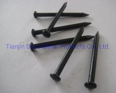 Factory Direct Common Iron Nail / Concrete Nail with Best Quality and High Quality