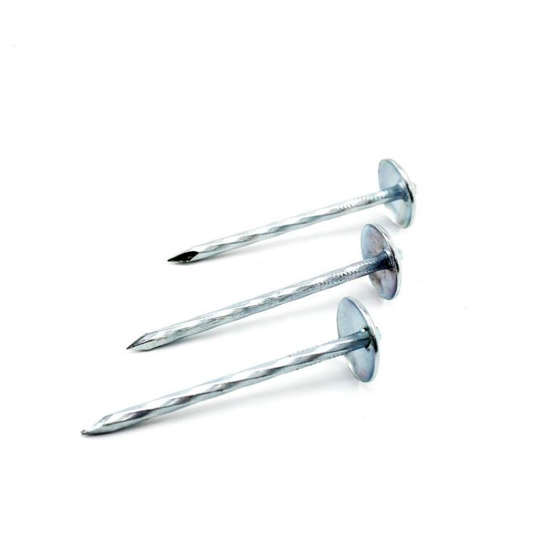 Galvanized and Polished Roofing Nail with Umbrella Head