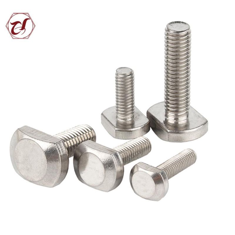 Customized Size Stainless Steel 304 316 T Head Bolt