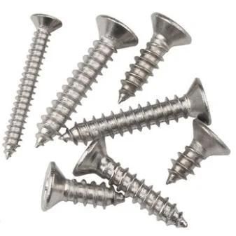 304 Stainless Steel Self Tapping Screw