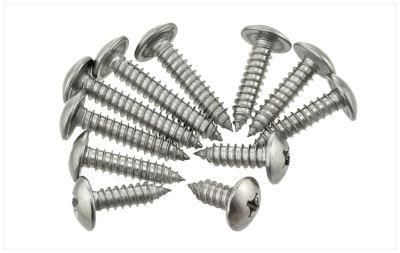 Stainless Steel Countersunk Head Screw Flat Head Screw Spike