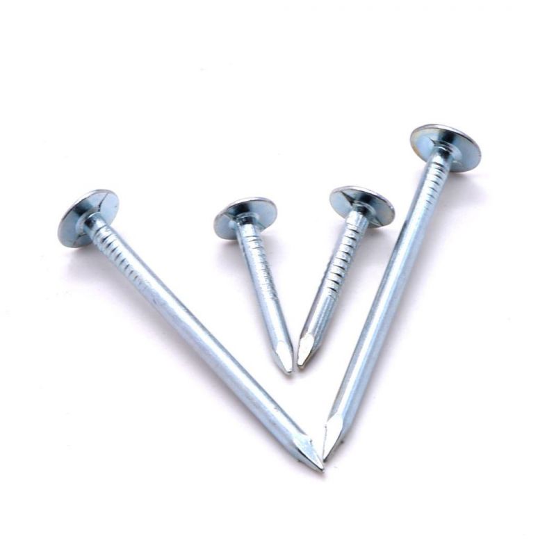 Clout Nails Ceiling Nails Galvanized Cupper Nails