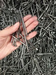 Q195 Factory Building Wire Nail/ Wood Nail for Construction